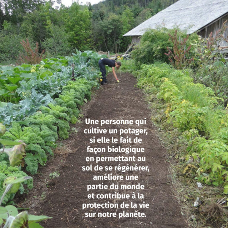 autosuffisance alimentaire grâce au potager